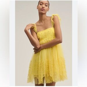 Anthropologie Let Me Be Eyelet Tulle Mini Dress